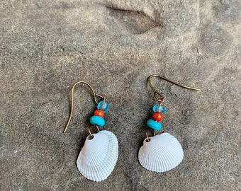 Cockle shell earrings