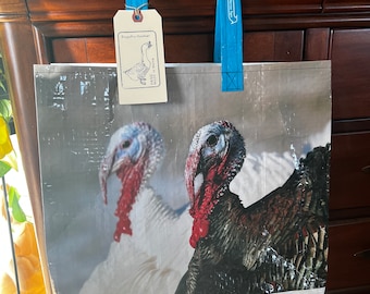 Up cycled grain bag tote / turkey tote / recycled grain bag / up cycled feed bag / reusable bag