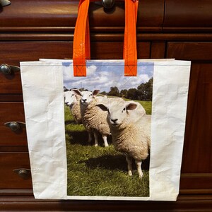 May include: White tote bag with a colorful image of three sheep in a green field. The bag has bright orange handles. The bag is made of a durable, possibly recycled material.