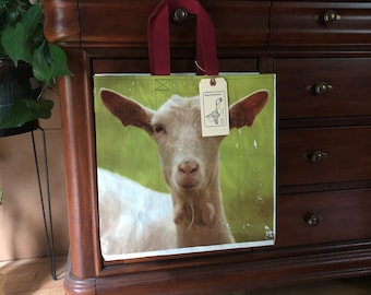 Recycled goat grain bag made into a reusable tote / up cycled feed sack