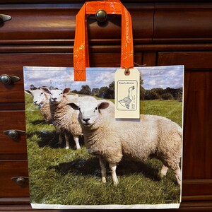 May include: A reusable shopping bag with an orange handle and a printed image of three sheep in a green field. The bag has a tag that reads "BagsForBeaker". The bag is made of a durable, waterproof material.