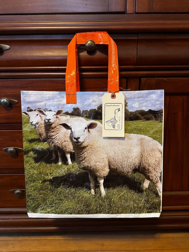 May include: A reusable shopping bag with an orange handle and a printed image of three sheep in a green field. The bag has a tag that reads "BagsForBeaker". The bag is made of a durable, waterproof material.