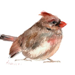 Female Cardinal Print, Watercolor Cardinal Art, Cardinal Print, Female Bird, Bird Illustration, Bird Painting, Backyard Bird Art, Bird Gift image 1