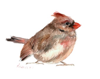 Weiblicher Kardinaldruck, Aquarell Kardinalkunst, Kardinaldruck, weiblicher Vogel, Vogelillustration, Vogelmalerei, Hinterhofvogelkunst, Vogelgeschenk