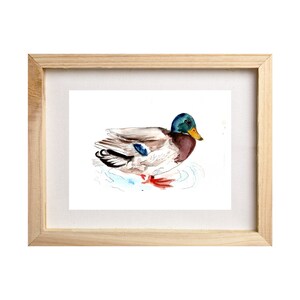 Mallard Print, Watercolor Mallard Art, Cardinal Print, Duck Watercolor, Duck Illustration, Bird Painting, Male Mallard Wall Art image 2