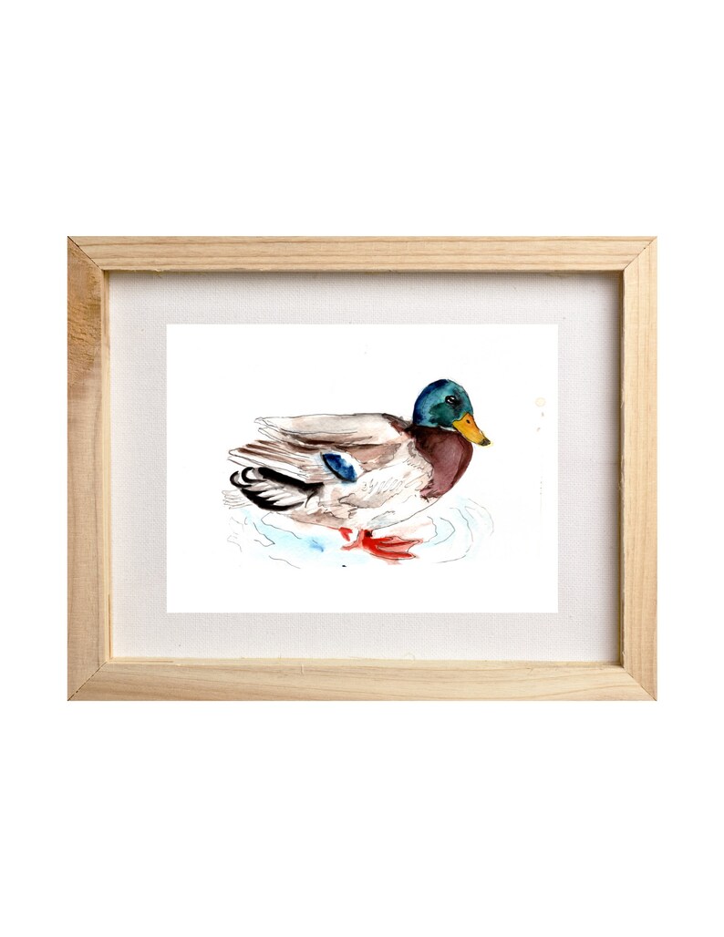 Mallard Print, Watercolor Mallard Art, Cardinal Print, Duck Watercolor, Duck Illustration, Bird Painting, Male Mallard Wall Art image 2