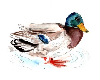 Stockenten Druck, Aquarell Stockenten Kunst, Kardinal Druck, Ente Aquarell, Enten Illustration, Vogel Gemälde, Männliche Stockente Wandkunst