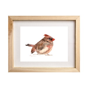 Female Cardinal Print, Watercolor Cardinal Art, Cardinal Print, Female Bird, Bird Illustration, Bird Painting, Backyard Bird Art, Bird Gift image 2