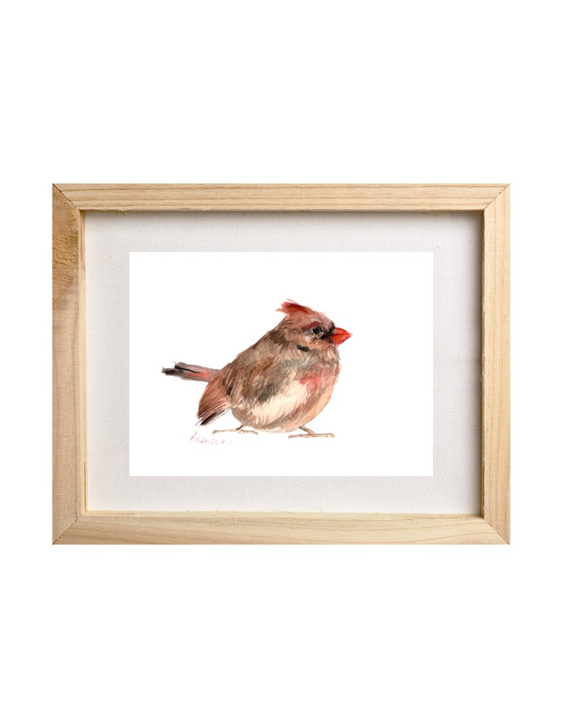 Female Cardinal Print, Watercolor Cardinal Art, Cardinal Print, Female Bird, Bird Illustration, Bird Painting, Backyard Bird Art, Bird Gift image 2