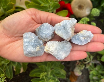 Raw Celestite, Bulk Raw Crystals, Healing Crystals, Ethically Sourced