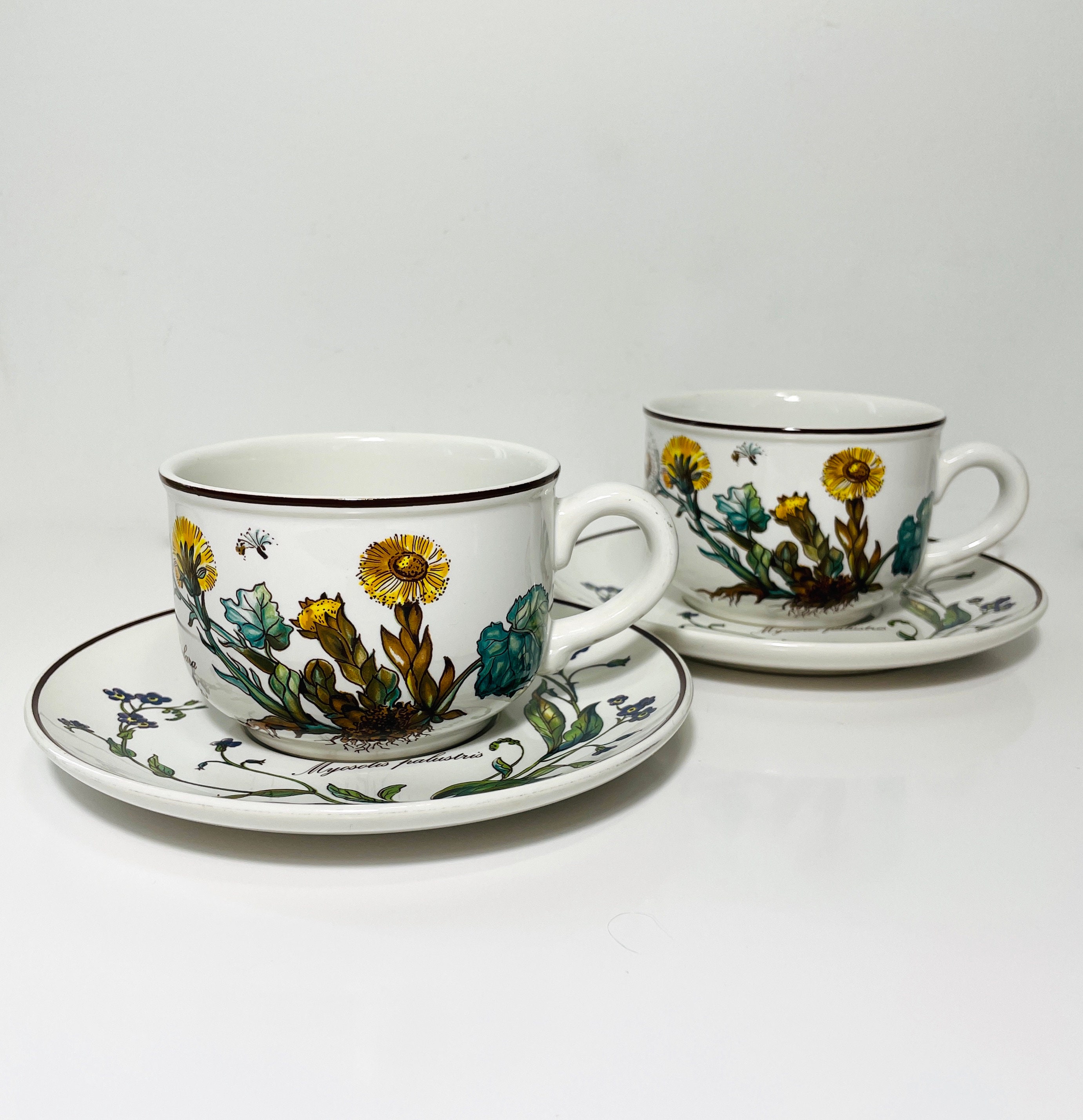 Villeroy&Boch ビレロイ&ボッホ Botanicaシリーズ5点セット