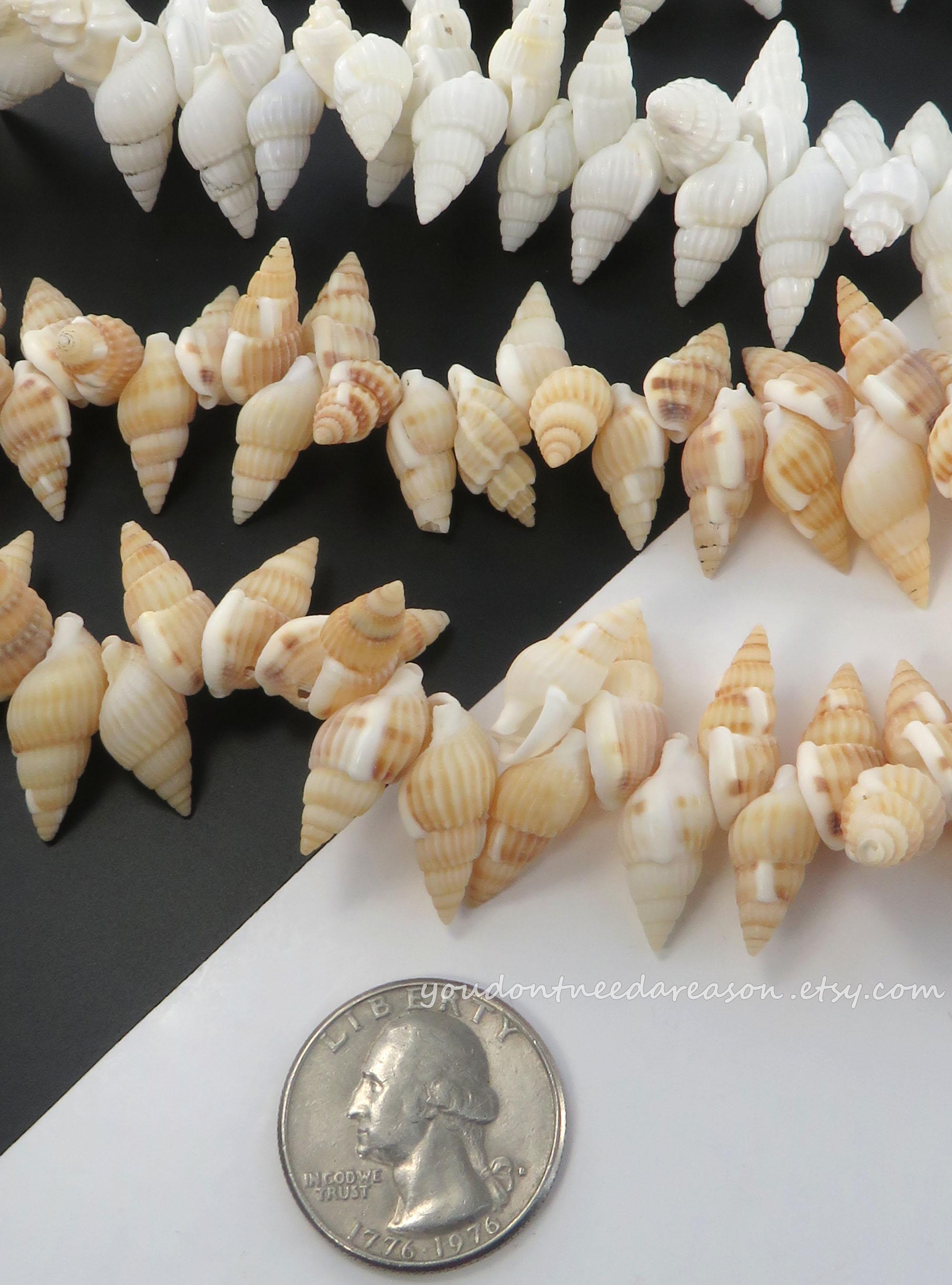 Natural Spiral Shell Beads: Jewelry Making Supply, 15" Strand of Beads ...
