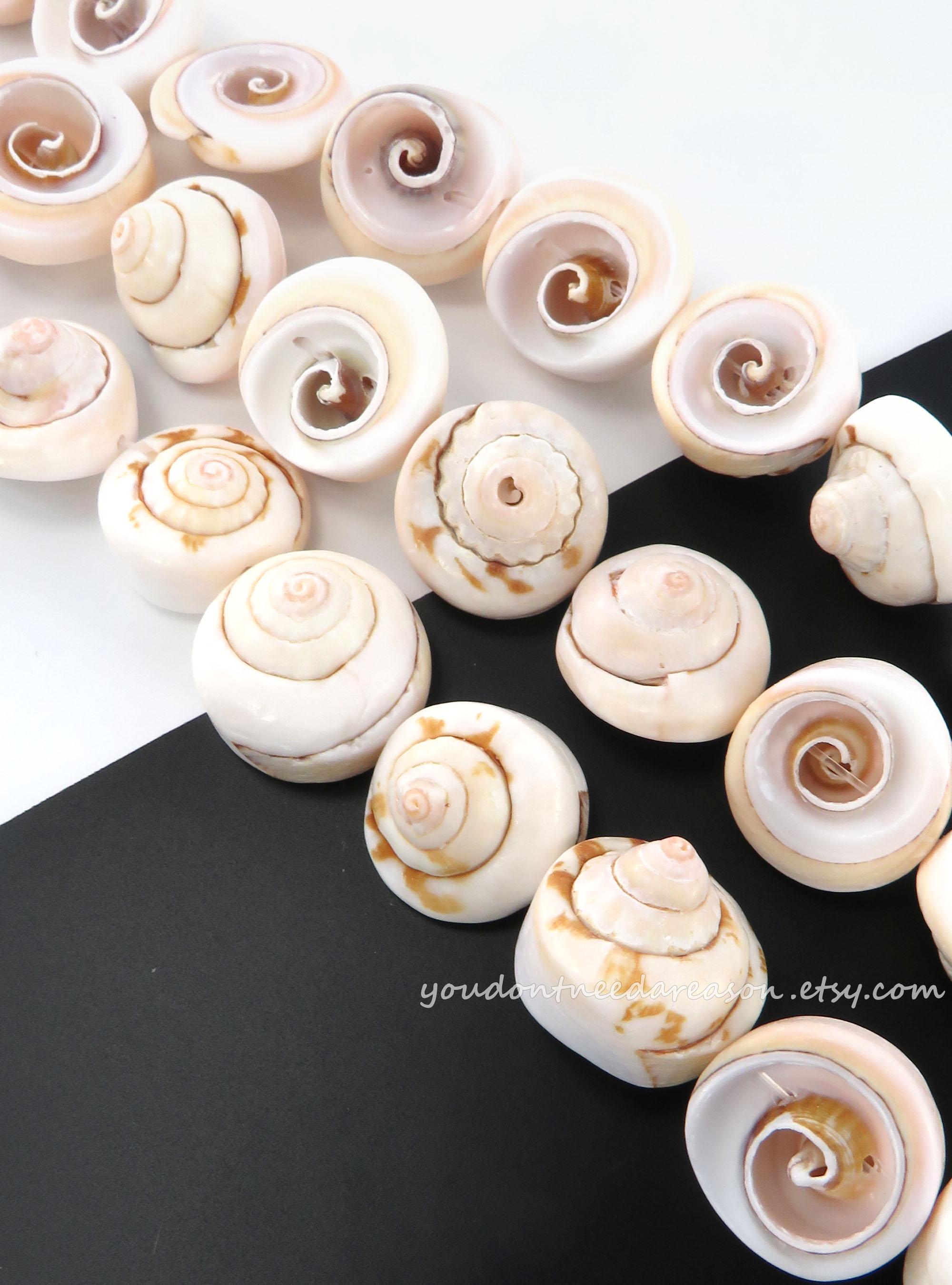 Natural Spiral Shell Beads: Jewelry Making Supply, 7