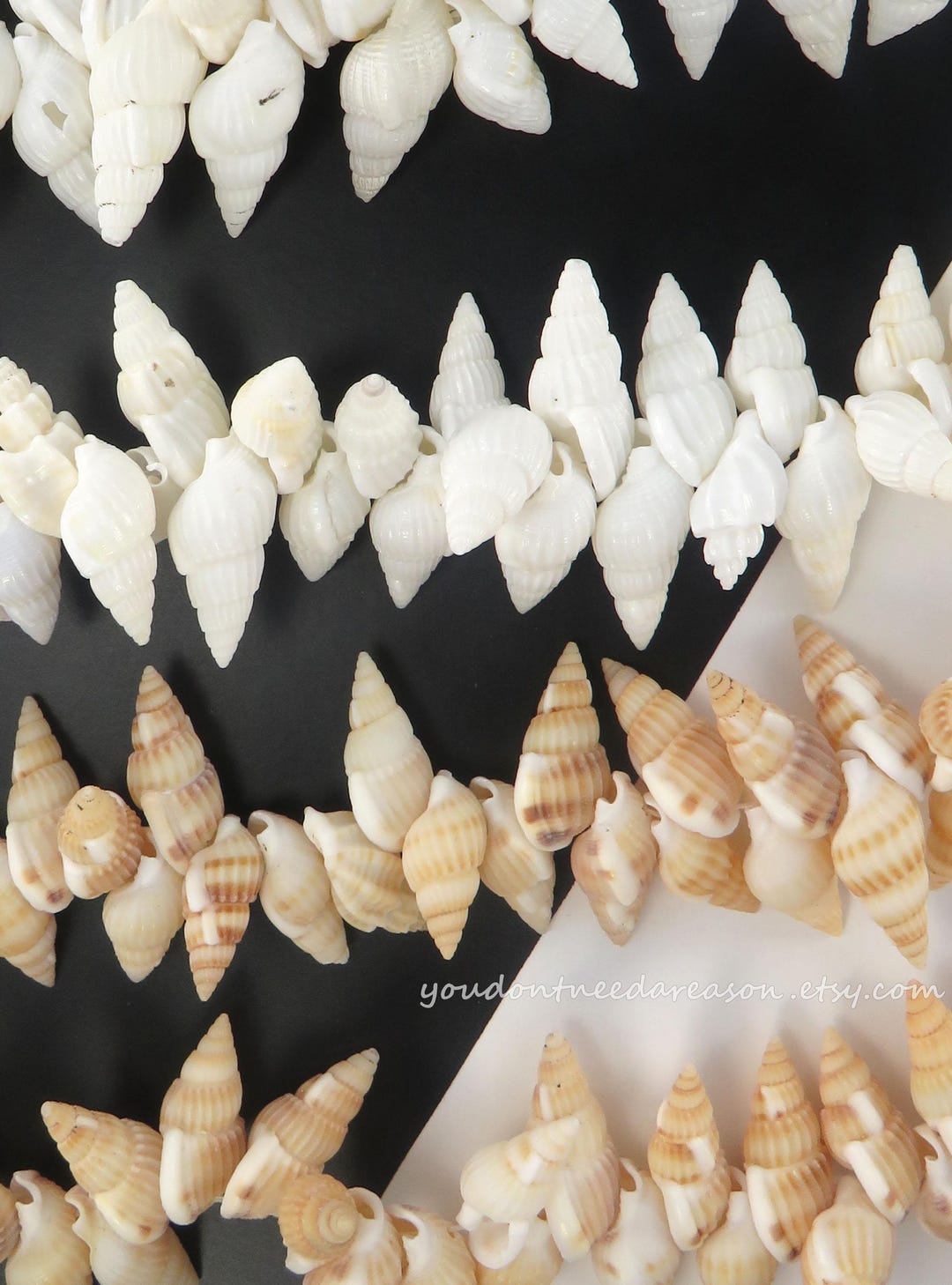 Natural Spiral Shell Beads: Jewelry Making Supply, 15