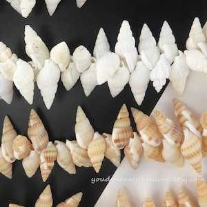 May include: Close-up of multiple strands of seashells, showcasing a variety of shapes and colors. The shells range from creamy white to tan, with a mix of textures. The background is a contrasting black and white geometric pattern.