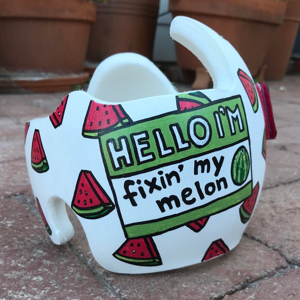 Watermelon- Custom paint job for Doc Band/cranial helmet