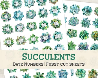 Succulents Date Numbers (1-31) | Printable stickers for bujo and planners, bullet journal, calendar days, plants, botanicals fussy cut sheet