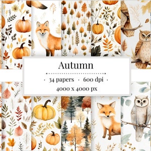 Herbst Digital Paper Set | 34 PNG Bilder | Herbstlaub, Füchse, Eulen, Kürbisse, Pilze | Scrapbooking, Basteln | Kommerzielle Nutzung erlaubt