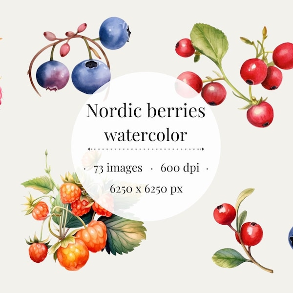 Nordic Berries Watercolor Clipart Set | Lingonberries, Cloudberries, Blueberries | Instant Download | Scandinavian Botanical Illustrations