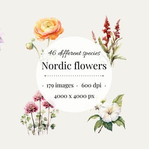 cliparte bloemen botanisch listig botanisch clipart botanisch arte bloemen png clipart violet listig cliparte kleur floraful bloemig