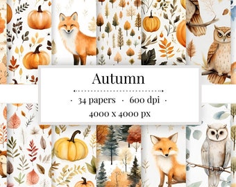 Autumn Digital Paper Set | Fall Leaves, Foxes, Owls (Commercial Use)