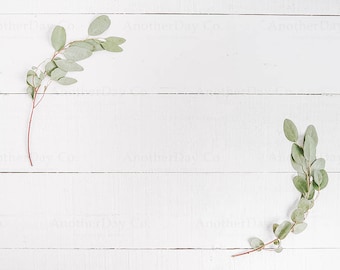 Download Free Green Eucalyptus on White Wood - Green Leaf, Spring Flower, Wedding Flower, Wedding Photo, Digital Image, Styled Photography, Styled Stock PSD Template