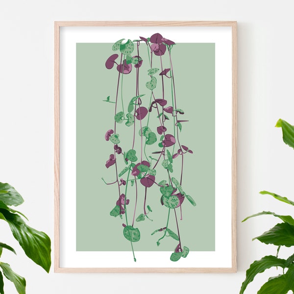 Ceropegia Woodii Art Print, String of Hearts Art Print, Illustration Print, Trailing Plant Art, Cute Plant Art, Delicate Plant Art