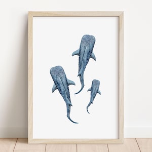 a trio of whalesharks