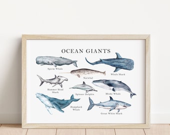Ocean giants art print, whales and dolphin art print, sealife art print, whale poster, shark poster, dolphin poster, sealife nursery print