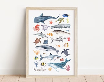 Sea life art print, sea creature print, ocean animal print, ocean nursery print, kids room print, beach house print, A4 or A3