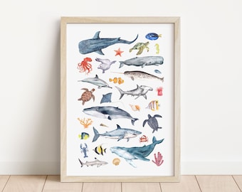 Sea creature ocean art print, animal poster, A4 or A3 size