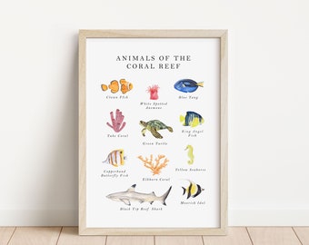 Animals of the coral reef print, ocean animals print, sealife print, ocean nursery print, A5/A4