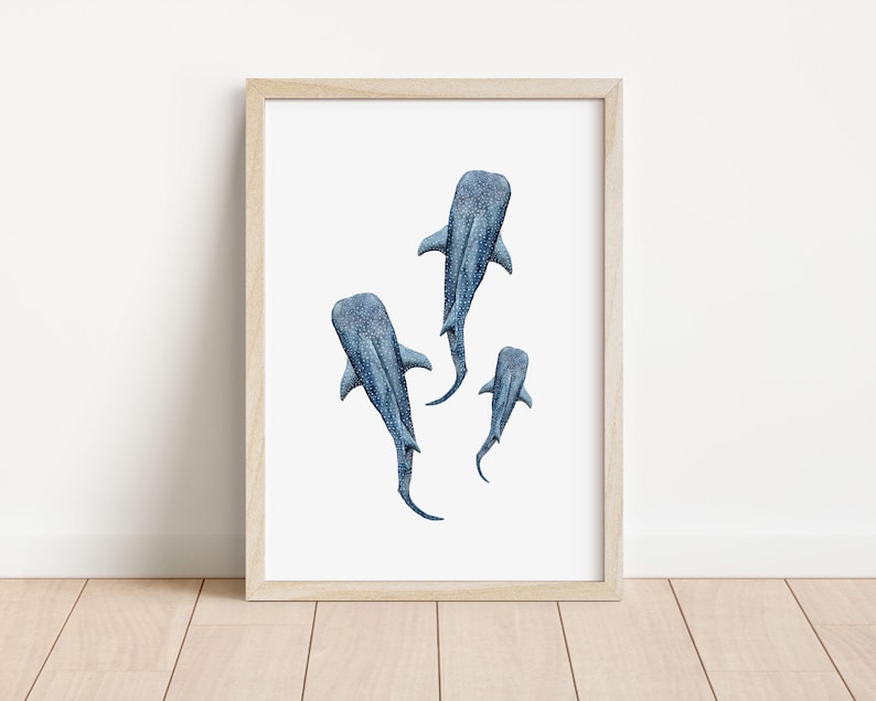 a trio of whalesharks