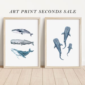 Art print seconds sale, Whale art, Whale shark art, surf map art, cornwall art print, imperfect art prints, A4 image 1