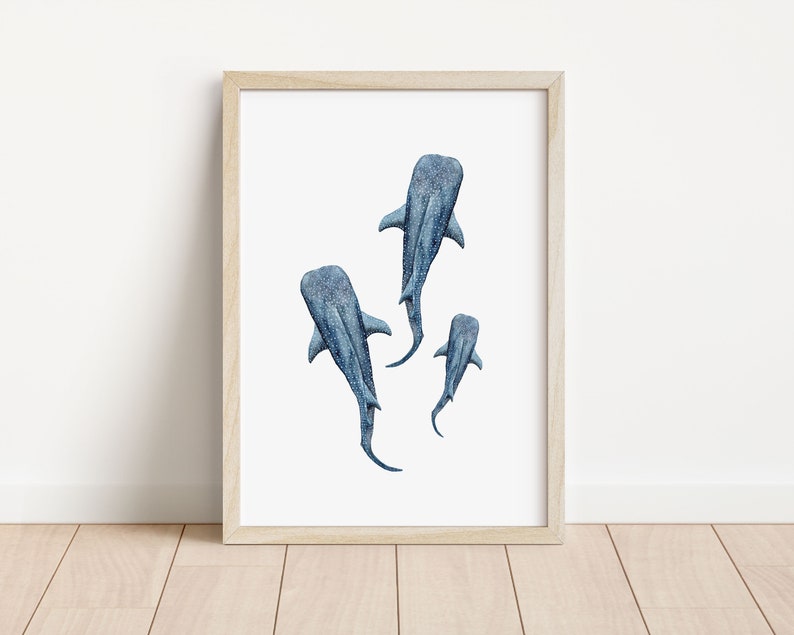 Art print seconds sale, Whale art, Whale shark art, surf map art, cornwall art print, imperfect art prints, A4 image 5