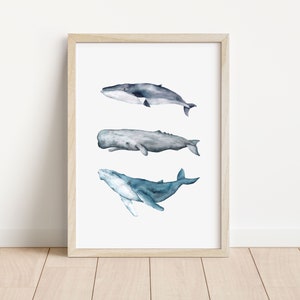 Art print seconds sale, Whale art, Whale shark art, surf map art, cornwall art print, imperfect art prints, A4 image 4