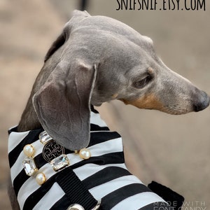 Tory Burch Button Design No Choke Dog Harness Designer Dog - Etsy Tory Burch Button Design No Choke Dog Harness Designer Dog - Etsy