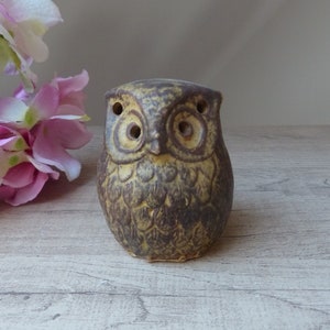 Peut inclure: Une figurine d'hibou en céramique avec un glaçage brun et jaune. Le hibou a de grands yeux ronds et un motif de plumes détaillé.