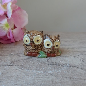 Könnte beinhalten: Keramikfigur mit zwei braunen Eulen mit großen gelben Augen. Die Eulen sitzen zusammen auf einem kleinen grünen Blatt, mit einem rotbraunen Sockel. Im Hintergrund befinden sich eine rosa Blume und eine hellfarbige Oberfläche.