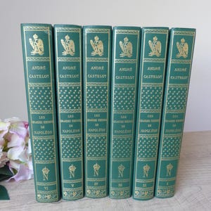 Può includere: Una collezione di sei libri rilegati con copertina rigida verde. I dorsi presentano scritte dorate con il nome dell'autore, il titolo e simboli decorativi. I libri sono numerati con numeri romani.