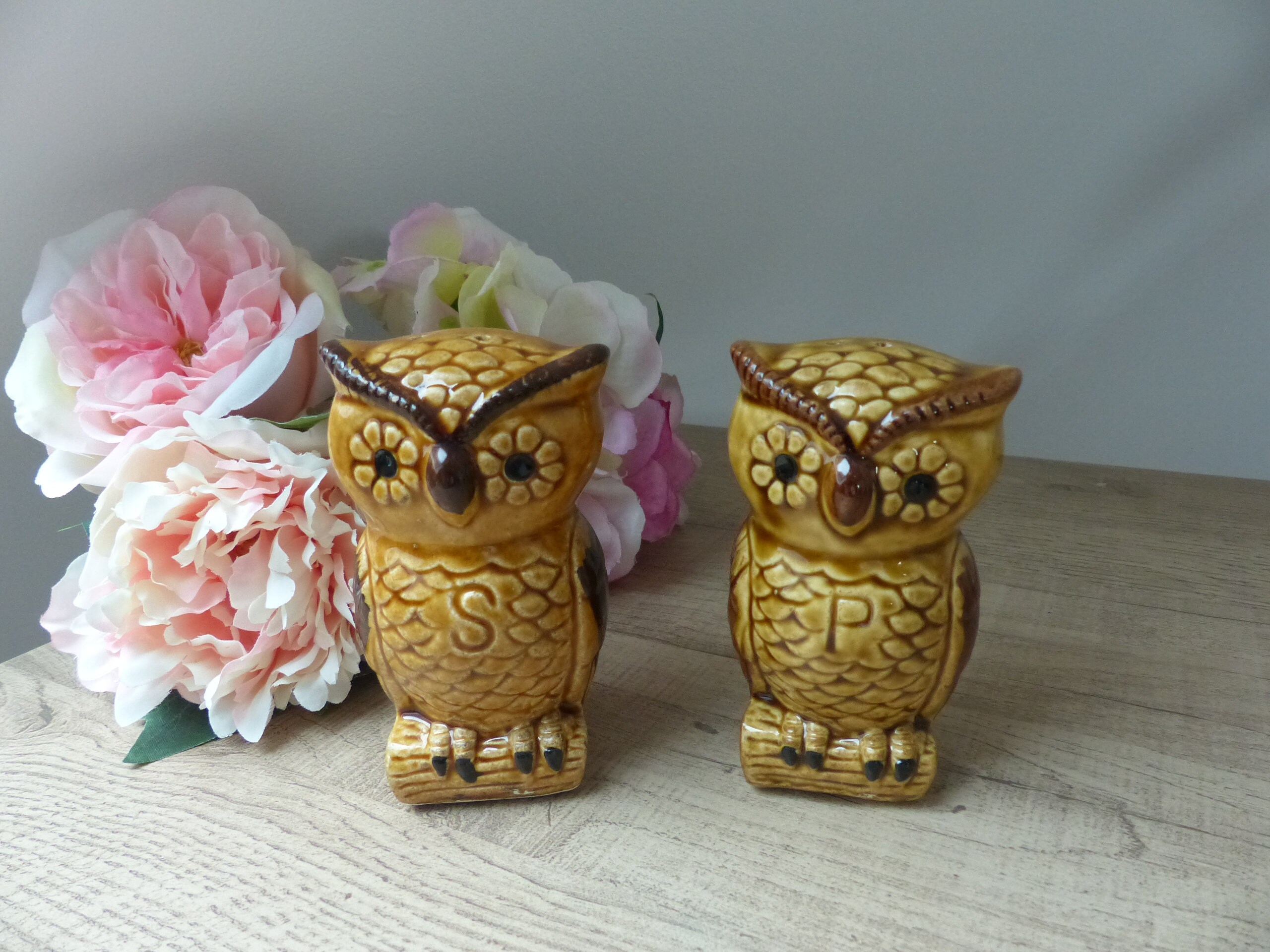 Salière et Poivrière Chouette Hibou en Céramique Vintage