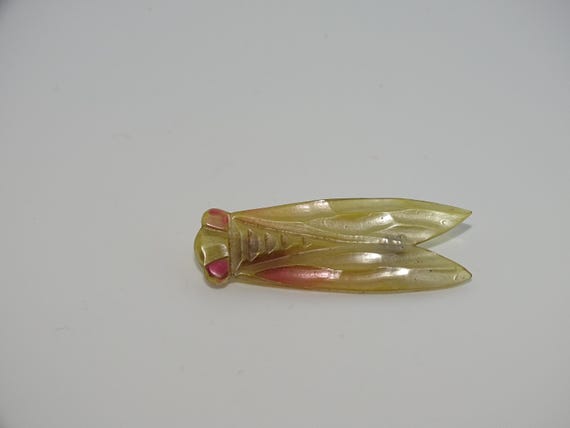 Vintage Art Deco celluloid cicada beetle/ bug brooch 1920's insect jewellery