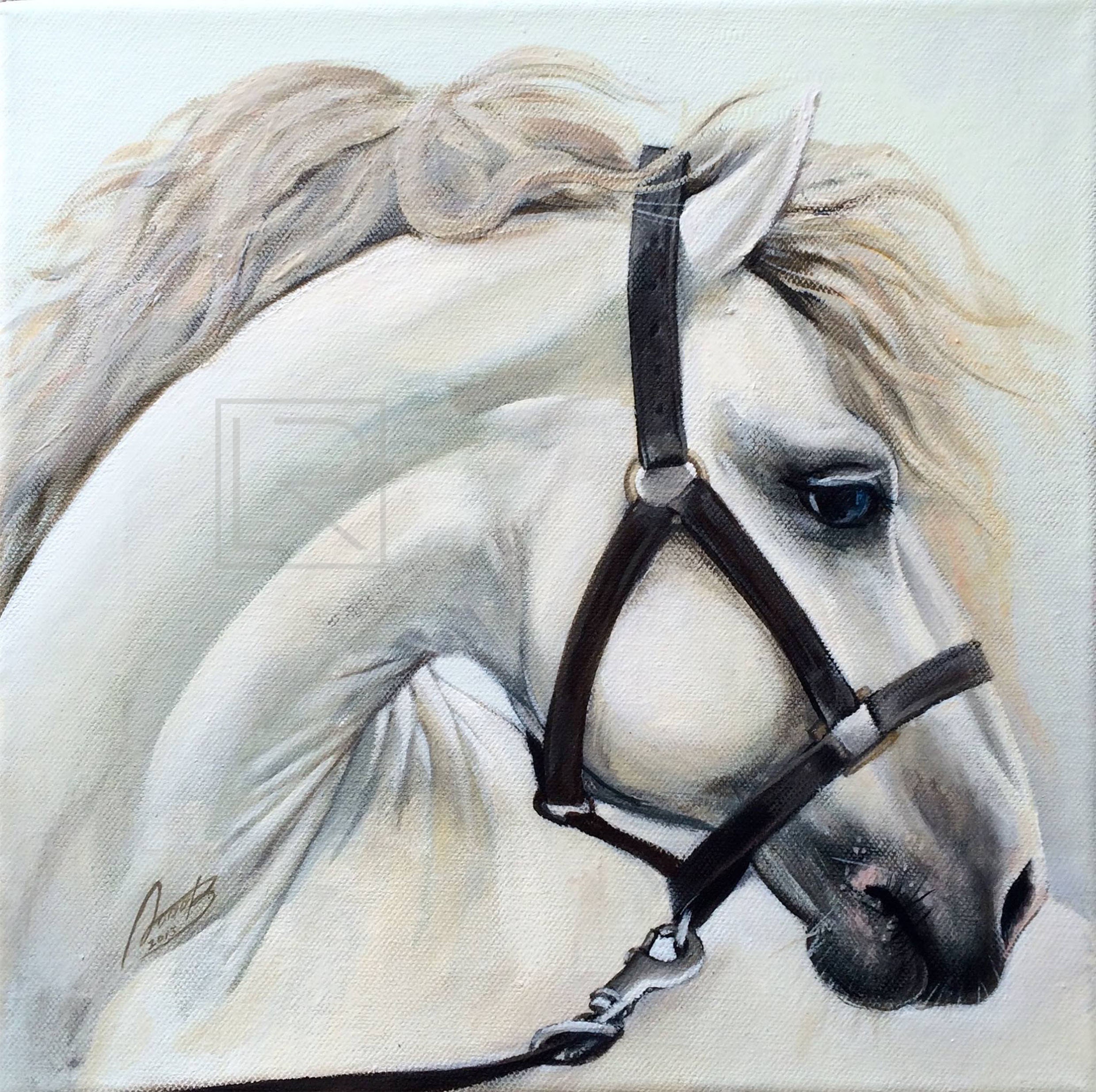 Acrylic Horse Paintings