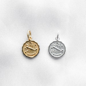 Scorpio Zodiac Constellation Charms, Zodiac Symbol, Horoscope Charm, Astrological Zodiac Signs, Gold/Silver Zodiac Pendant