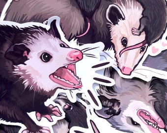 Opossum Stickers!