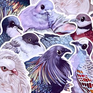 May include: A digital illustration of a collection of colorful birds with intricate patterns and details. The birds are depicted in various poses, some with their wings spread, others perched, and some in flight. The illustration features a variety of colors, including shades of blue, purple, pink, and white.