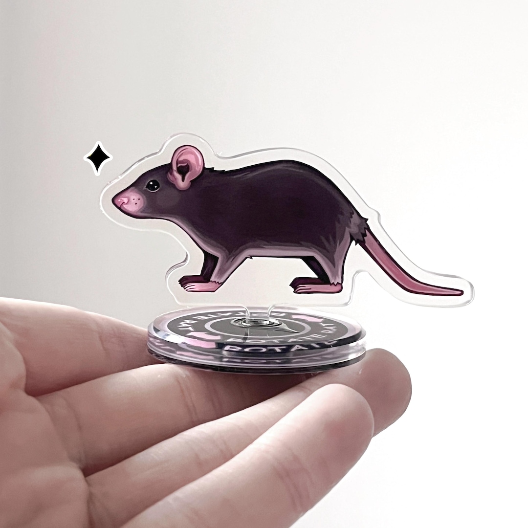 Rotatable Rat! - Spinning Horizontal Rat Acrylic Standee - Etsy