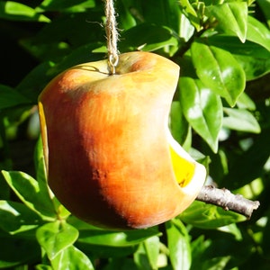 May include: A wooden bird feeder shaped like a red apple with a hole cut out of the side. The feeder is hanging from a string.