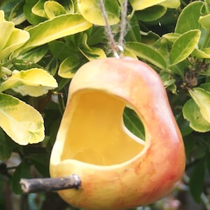 Può includere: Un mangiatoia per uccelli in ceramica gialla e rossa a forma di pera appesa a un ramo. La mangiatoia ha una piccola apertura per consentire agli uccelli di accedere al cibo.