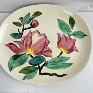 Red Wing Pottery Grande piatto da carne Blossom Time Pattern n. 1102